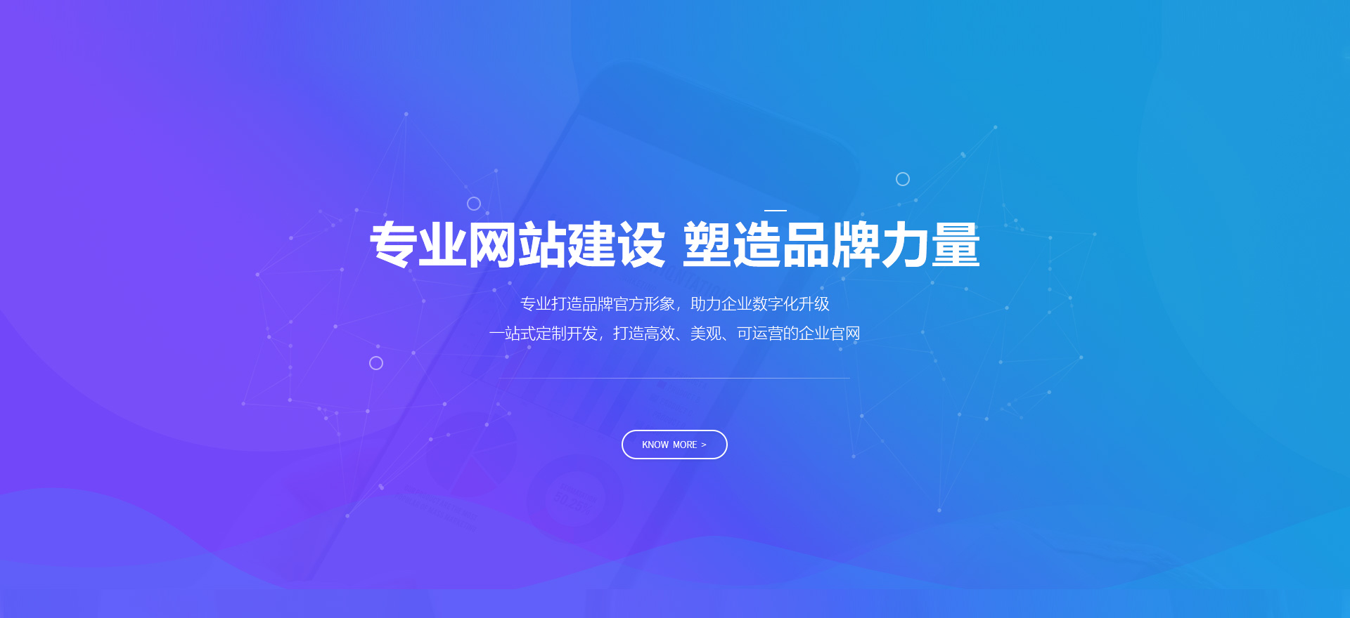 黔南建站-专业网站建设 塑造品牌力量