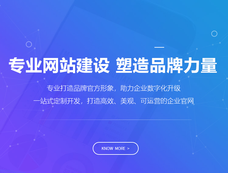 黔南建站-专业网站建设 塑造品牌力量
